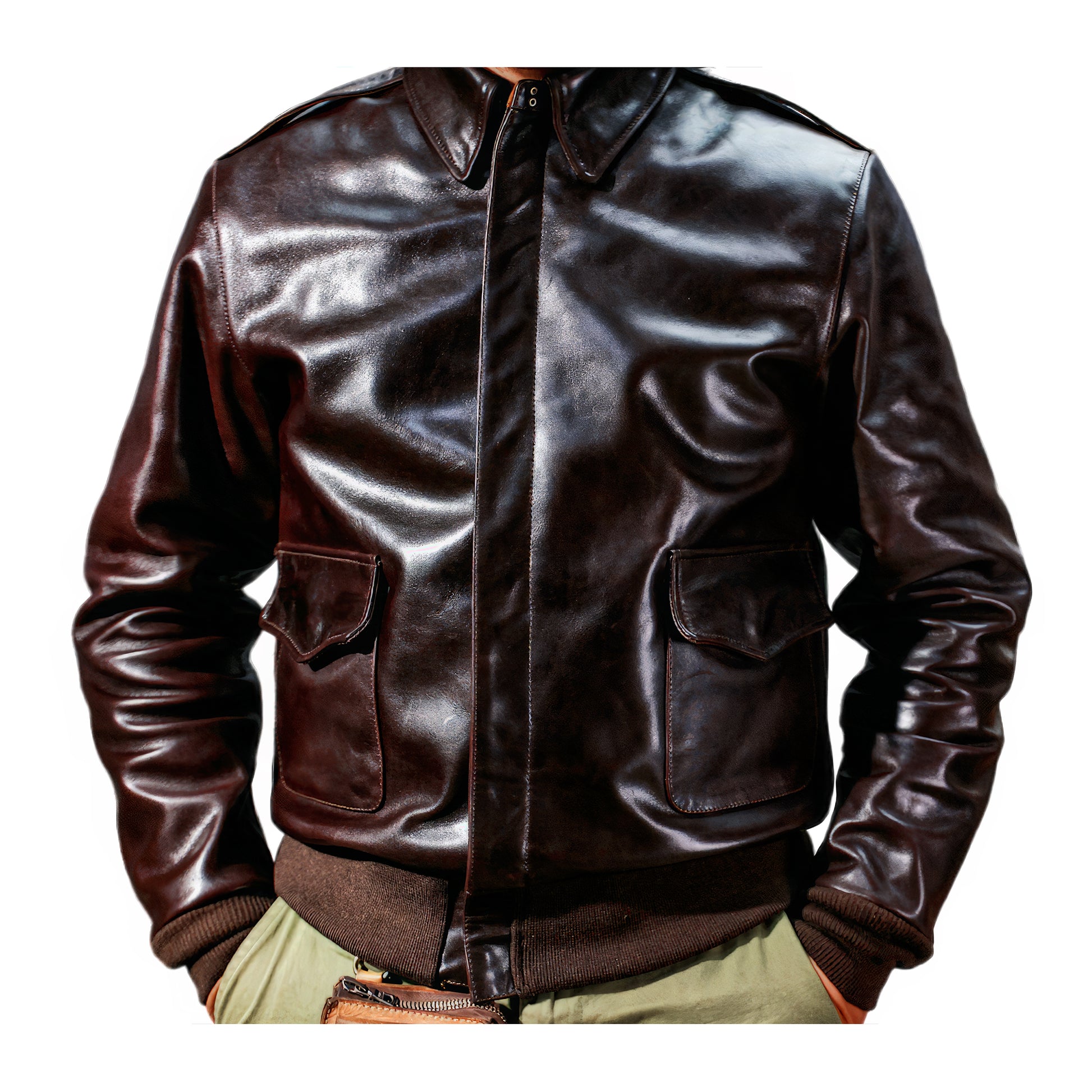 Blouson Cuir A2 Homme - Main Image